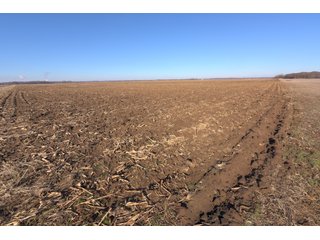 Property photo 19 - LAND AUCTION - 300+/- ACRES IN 2 TRACTS IN SULLIVAN COUNTY, INDIANA